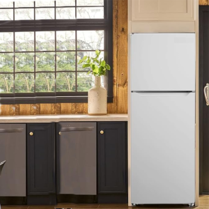 General Dan 14.6 Cu. Ft. Inverter Refrigerator GD435DF/W.